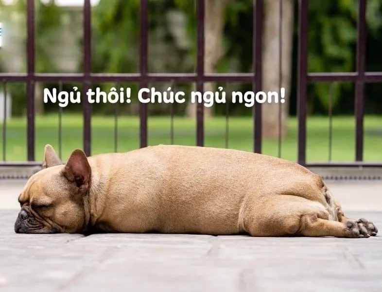 Meme chúc ngủ ngon ma rùng rợn trong đêm