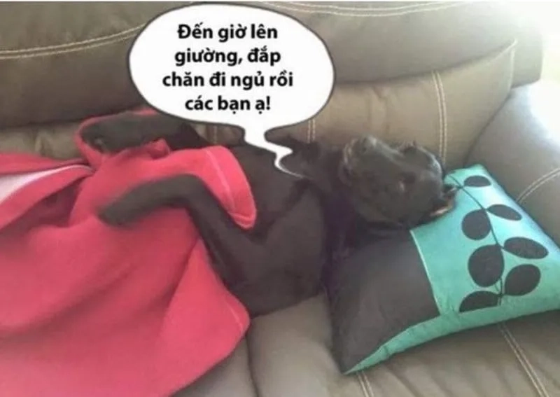 Meme chúc người yêu ngủ ngon siêu sến súa