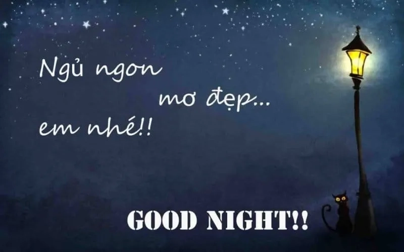 Chúc bạn ngủ ngon meme ai thấy cũng cười