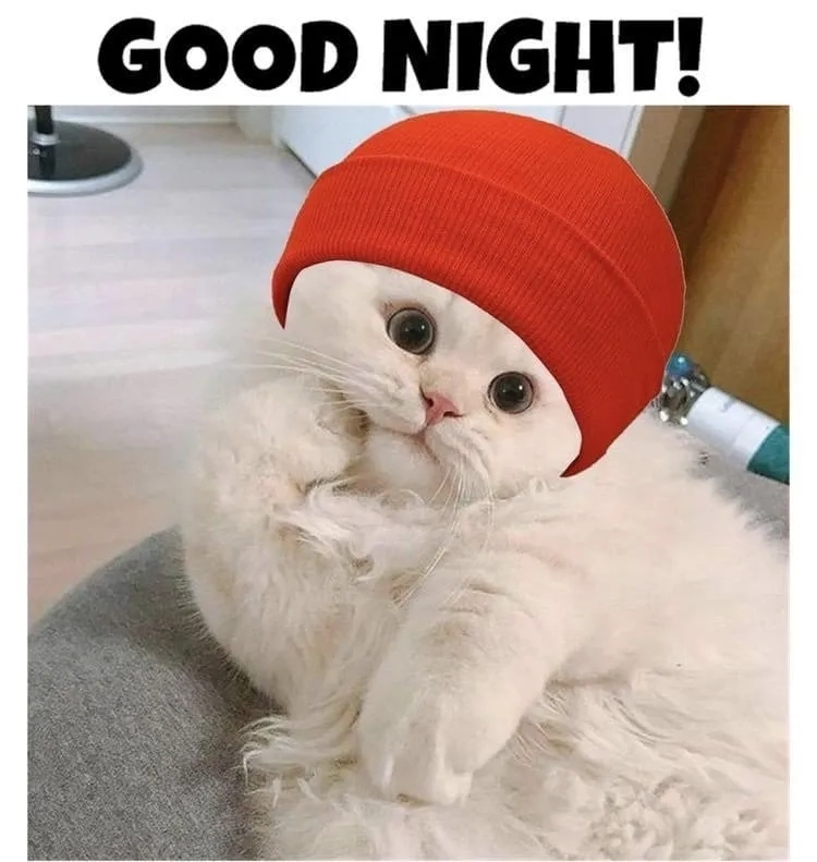 Chúc em ngủ ngon meme dịu dàng tan chảy