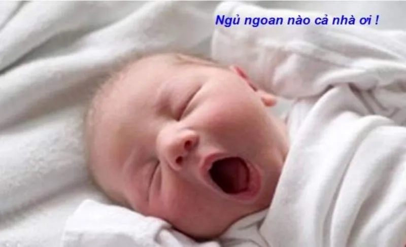 Meme chúc ngủ ngon ny tình tứ siêu sến