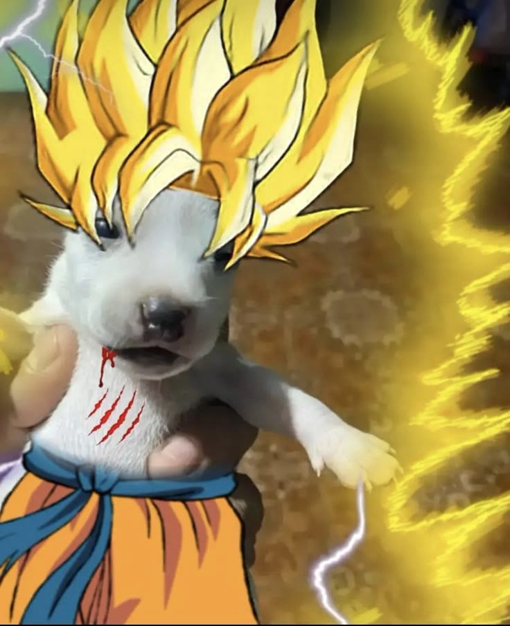 Goku meme khiến meme thủ không thể không lưu lại