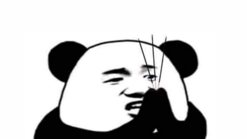 Meme mèo bựa đội mũ và cà khịa cực mạnh