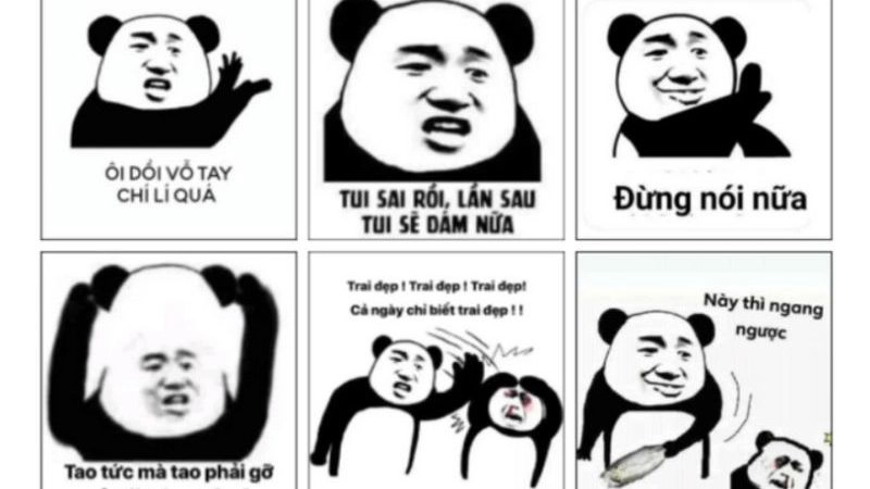 Meme avatar bựa cute, nhìn phát muốn lưu liền