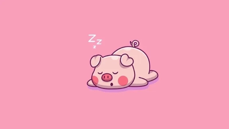 Heo chibi nhỏ nhắn tinh nghịch cực kỳ đáng yêu