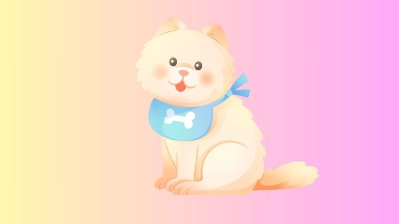 Phông ảnh màu hồng dành cho thiết kế mang vẻ nữ tính