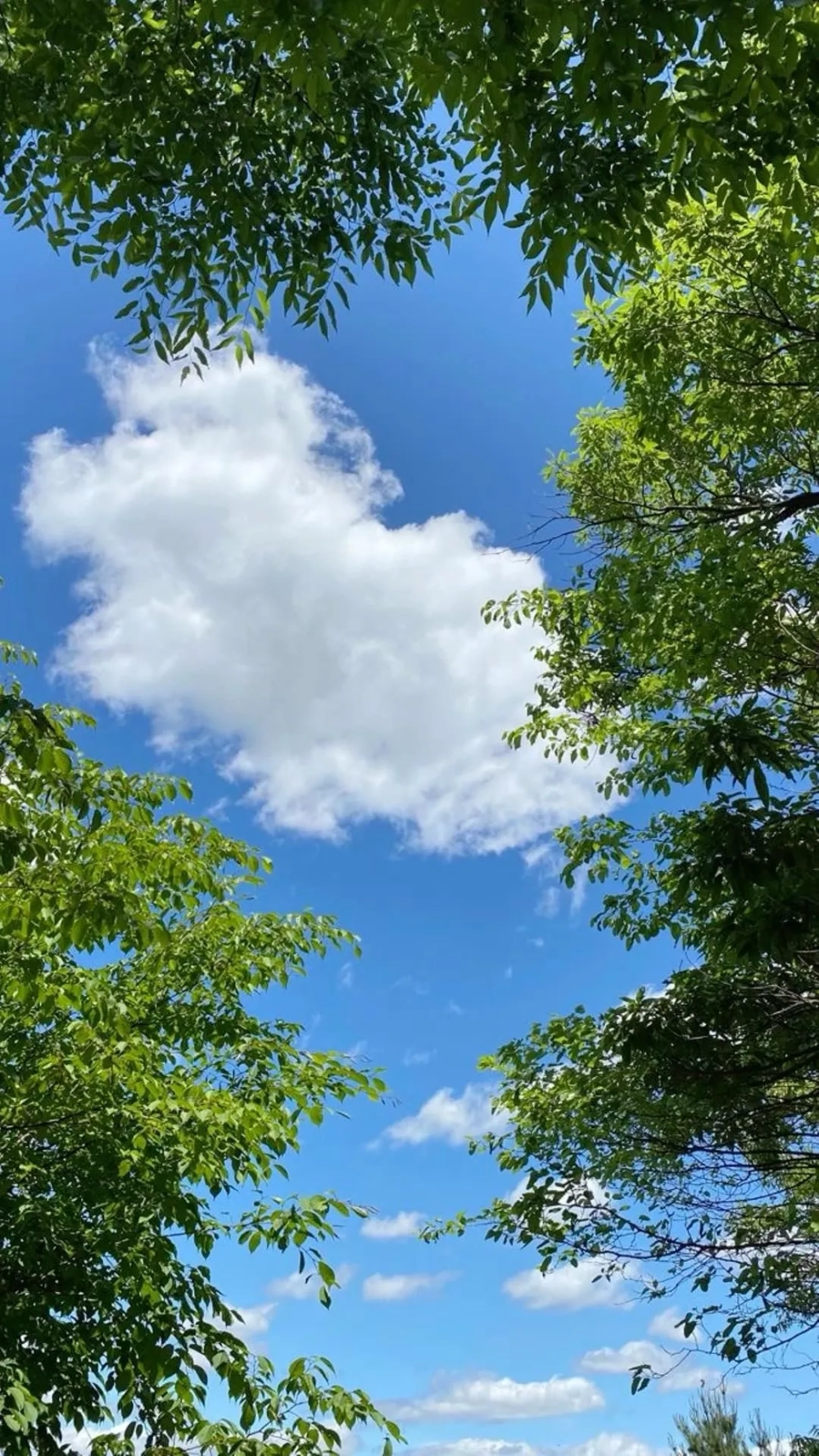 Đáng yêu khó cưỡng với hình nền cute bầu trời