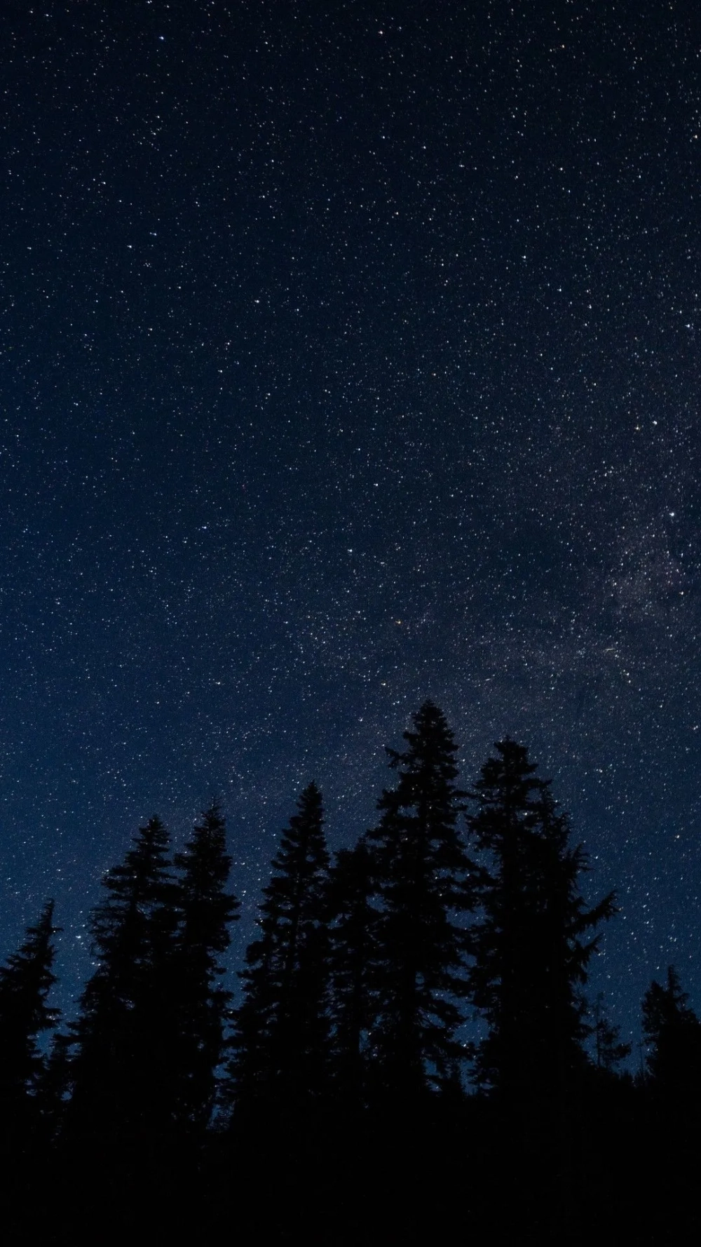 Say đắm trước vẻ đẹp lung linh của hình nền đêm đầy sao