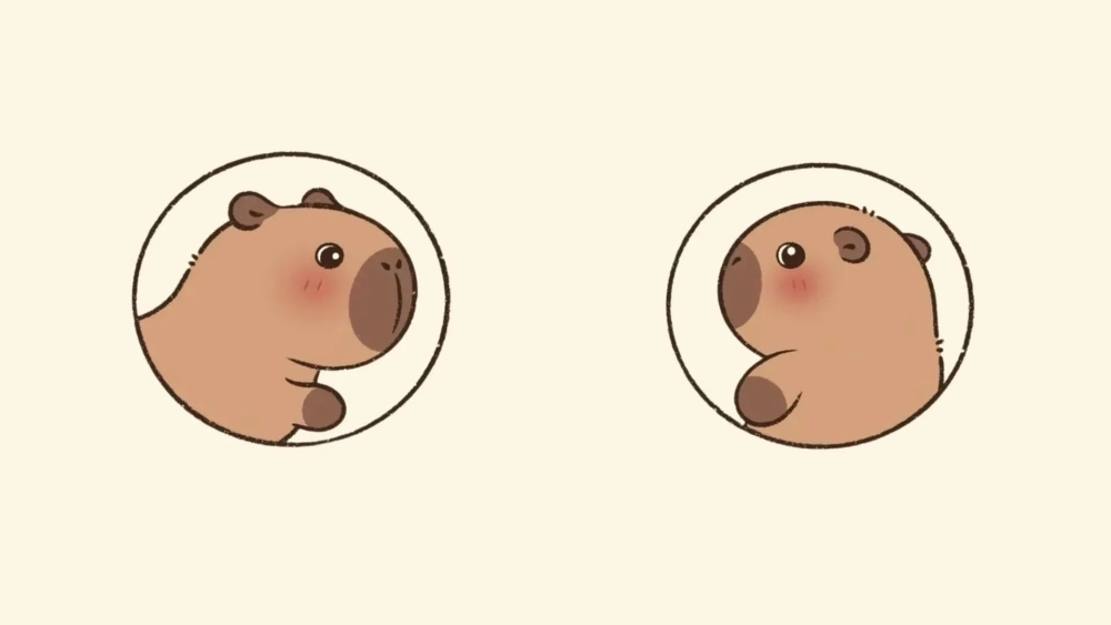 Tình yêu động vật nằm trong hình nền về Capybara cute