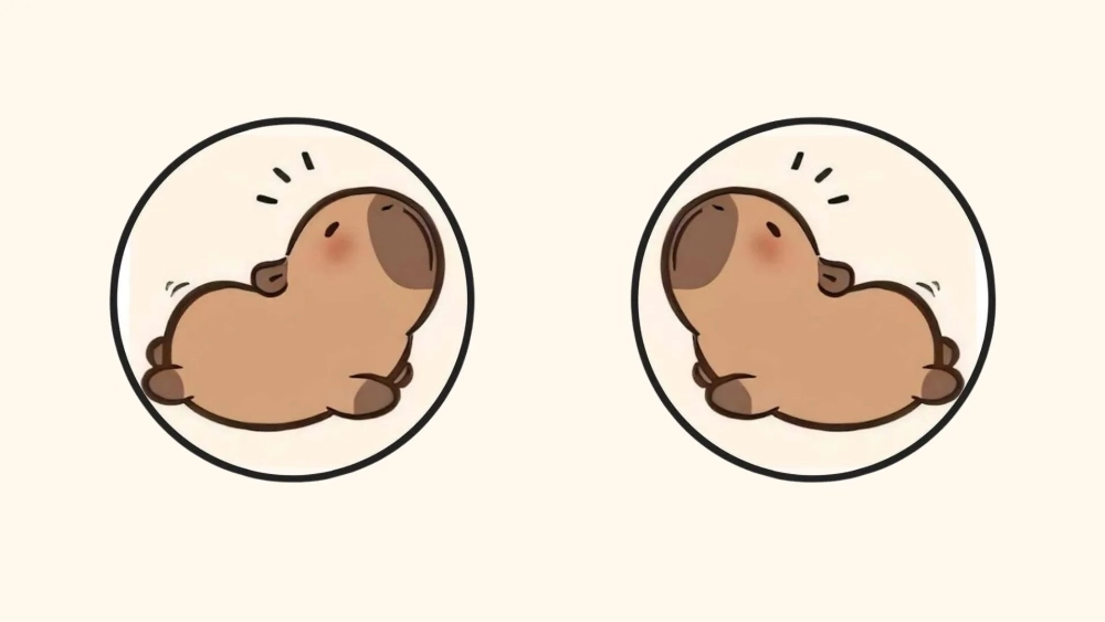 Gây thương nhớ cùng ảnh hình nền Capybara