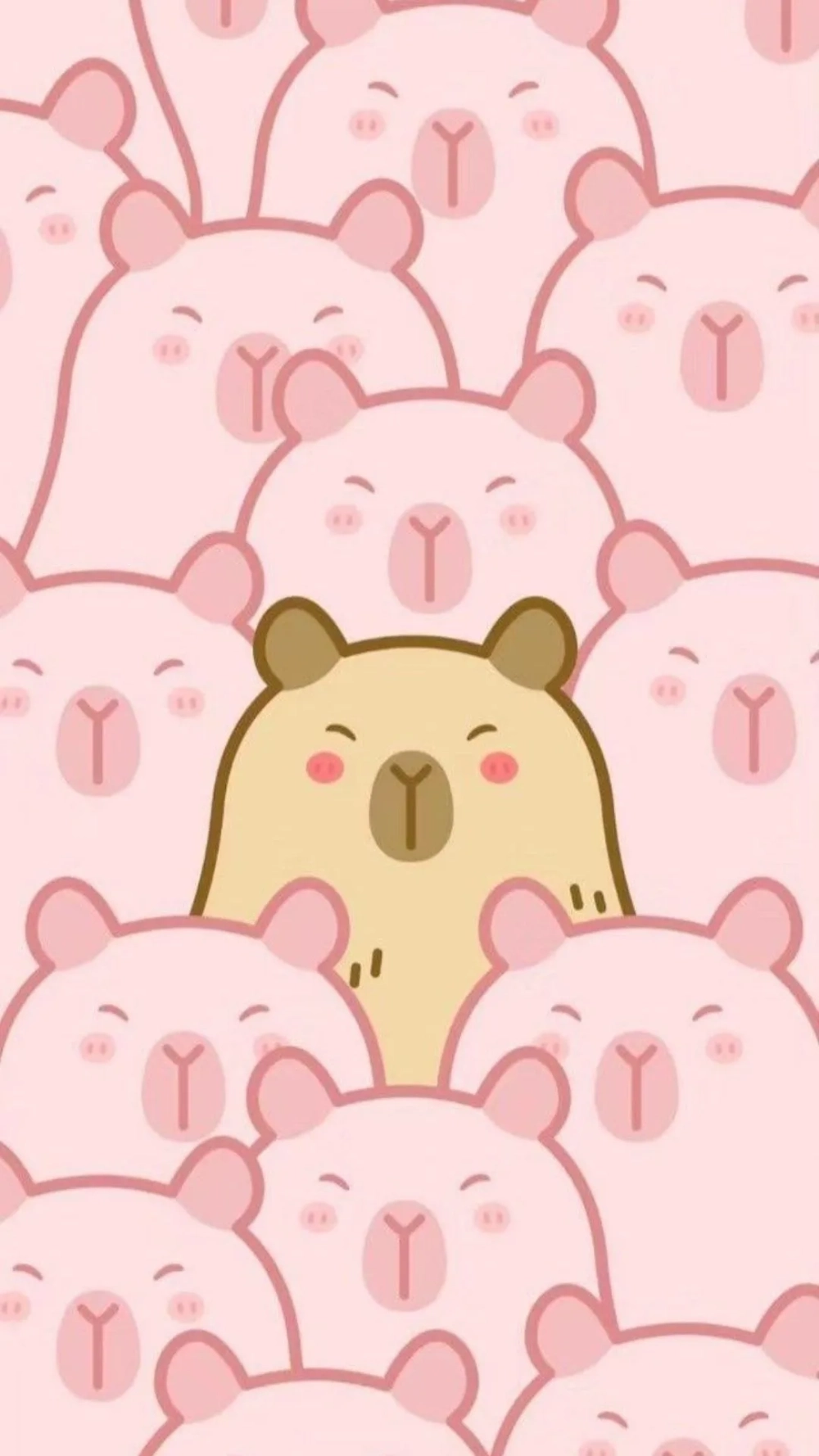 Bộ ảnh siêu lạ điện thoại hình nền Capybara cute vô tri