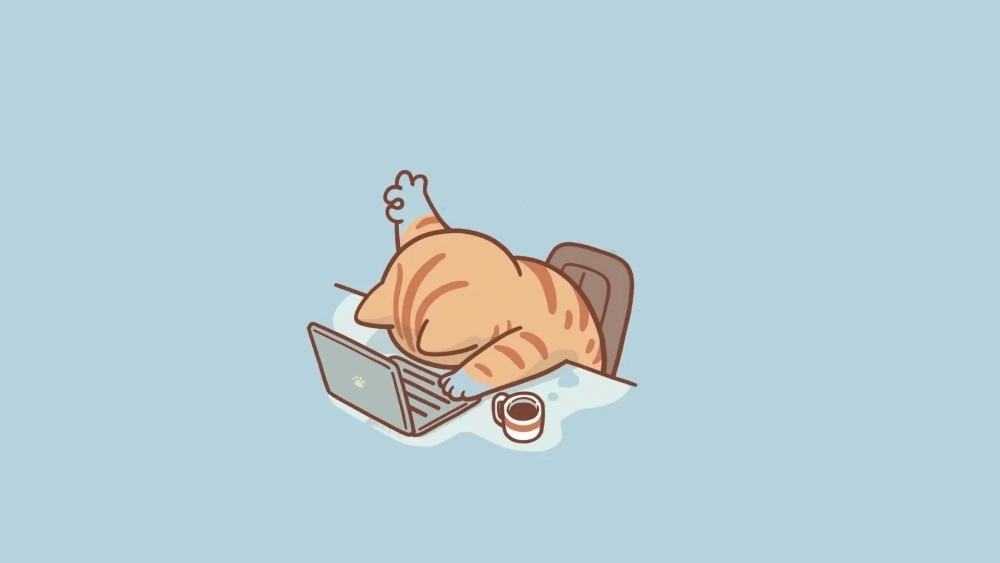 Mềm lòng cùng hình nền máy tính con mèo cute