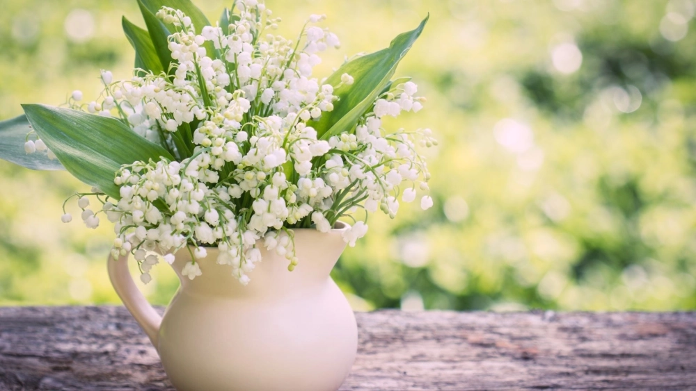 Bạn đã hiểu hết ý nghĩa hoa linh lan chưa