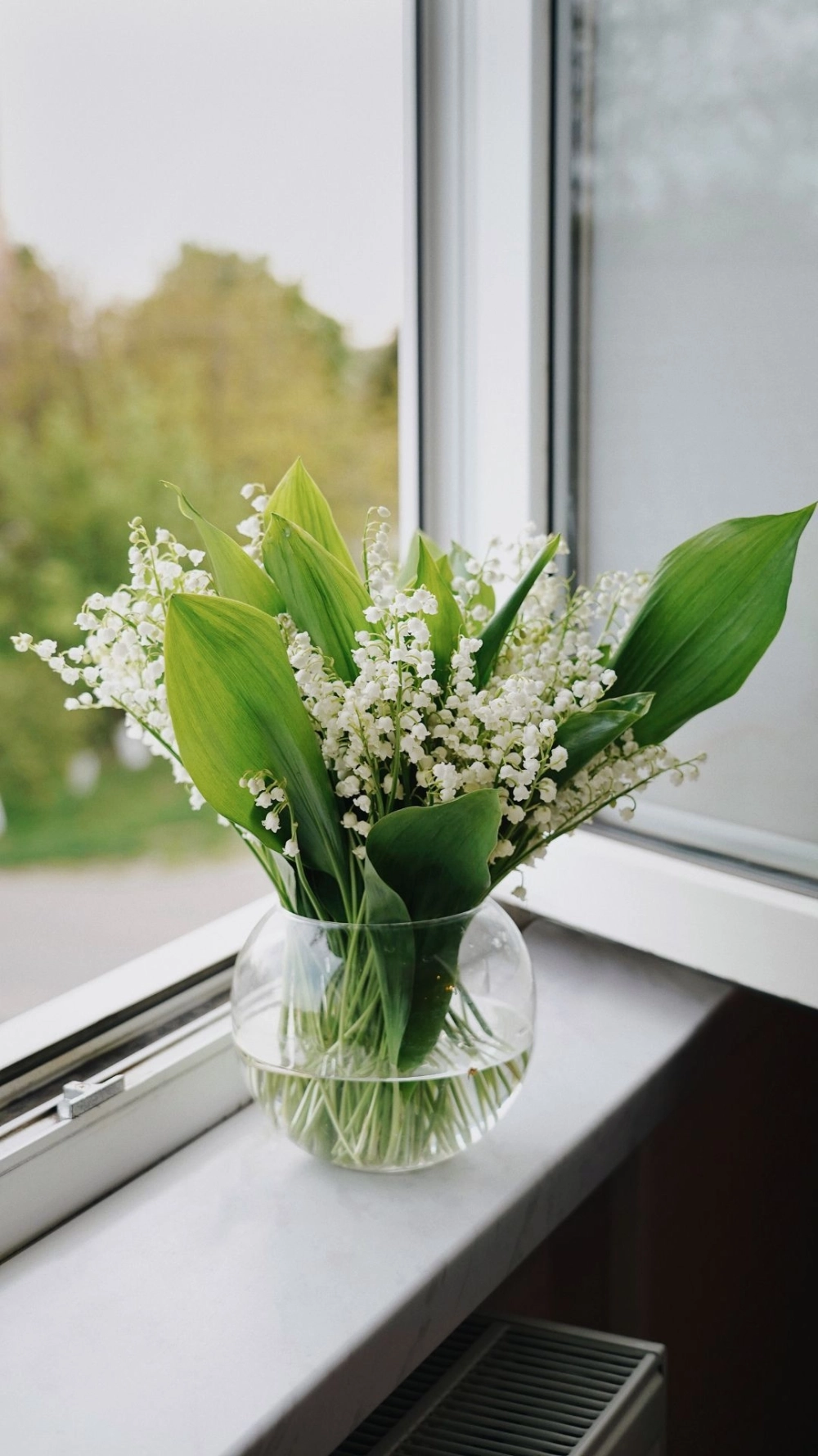 Tô điểm điện thoại với ảnh hoa linh lan làm hình nền