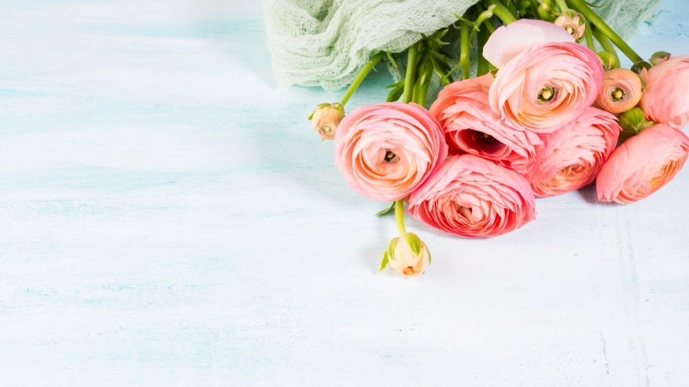 Đơn giản mà sang trọng với bó hoa mao lương