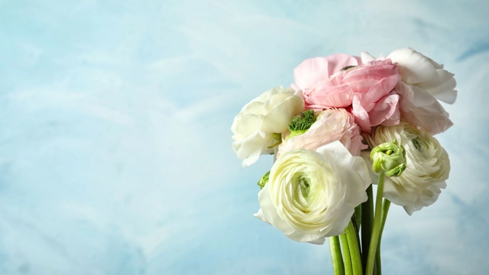 Gợi ý quà tặng hoàn hảo là bó hoa mao lương đẹp