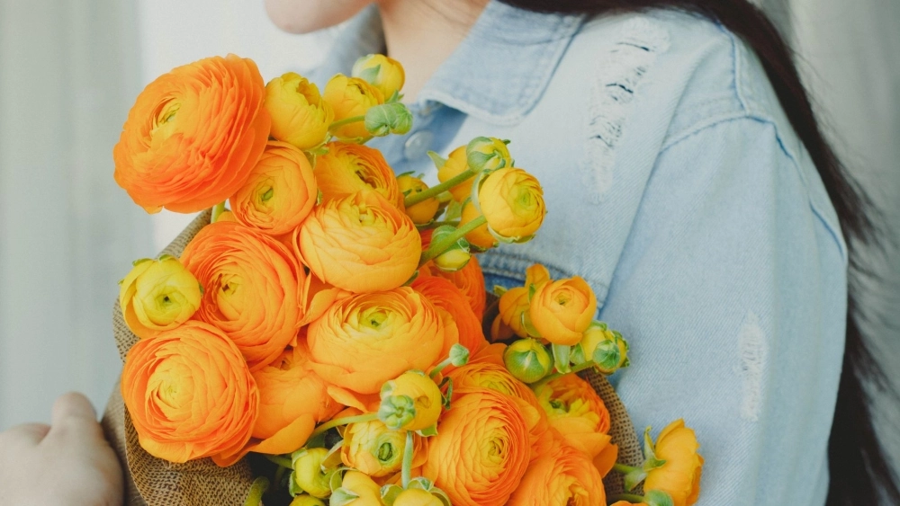 Đà Lạt mùa này rực rỡ với hoa mao lương đà lạt