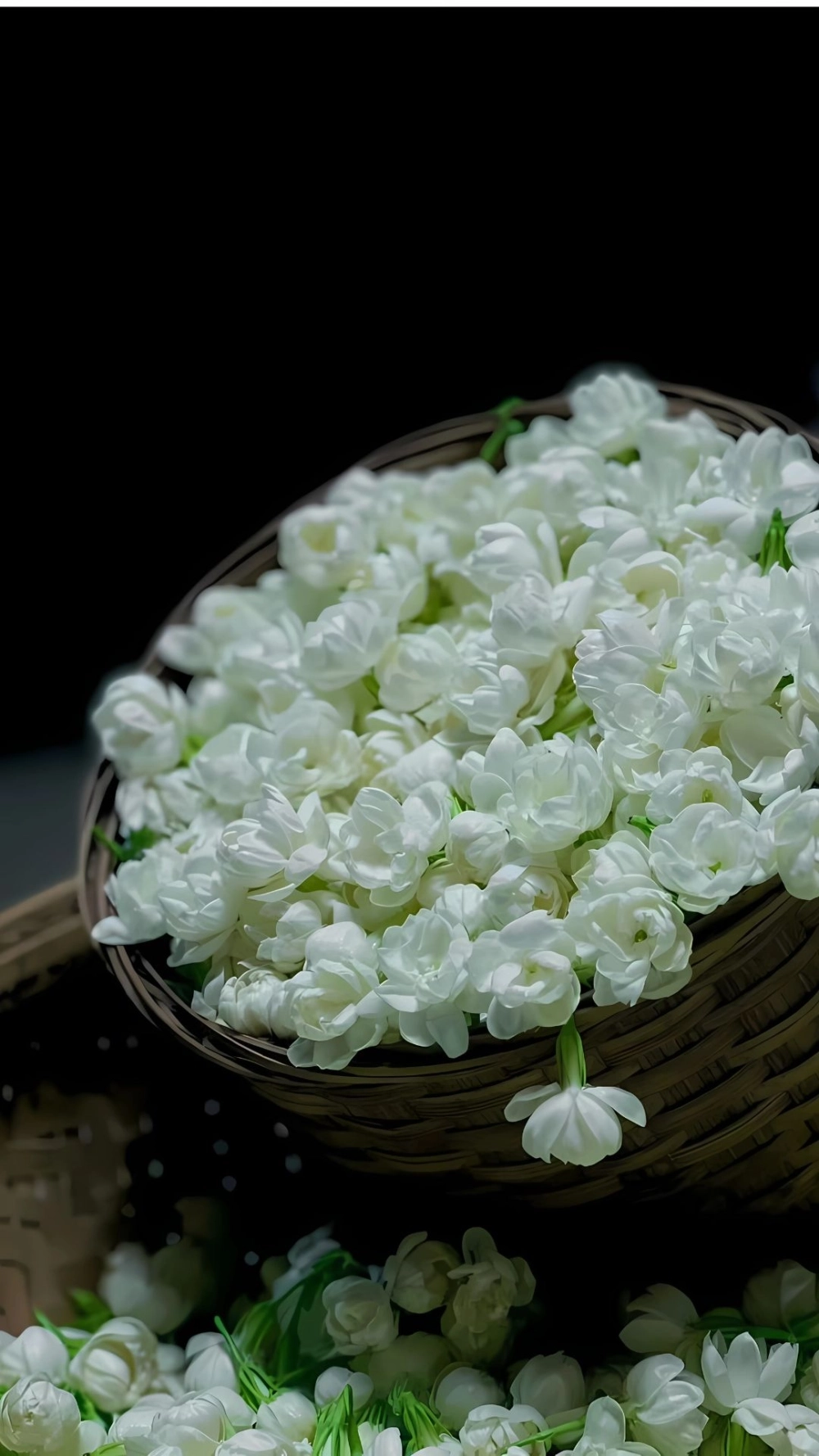 Thơ mộng mỗi lần mở khóa với hoa nhài hình nền điện thoại