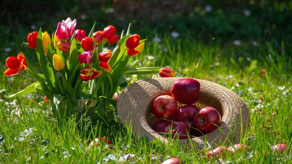 Biến tấu ngộ nghĩnh với loạt hoạt hình hoa quả dễ thương