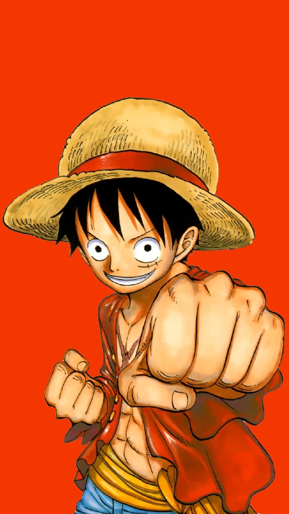 Dẫn đầu đoàn Mũ Rơm với Luffy hình nền điện thoại