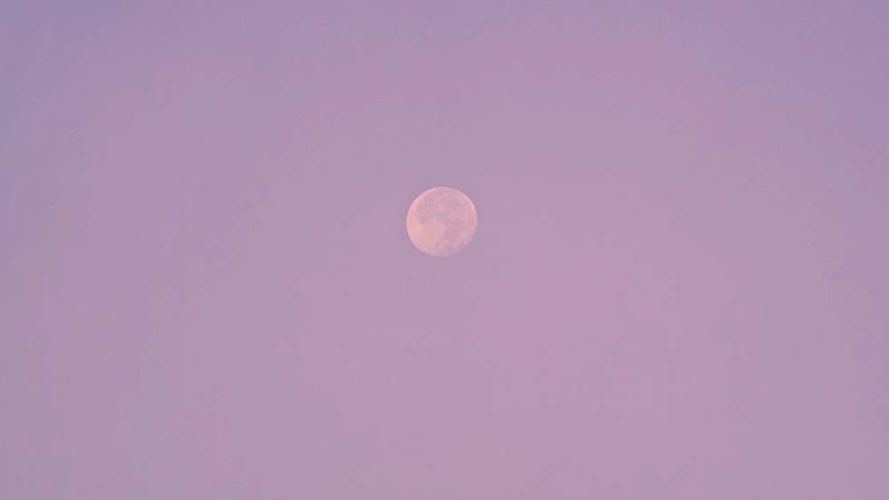 Đậm chất thơ với hình nền dễ thương màu tím