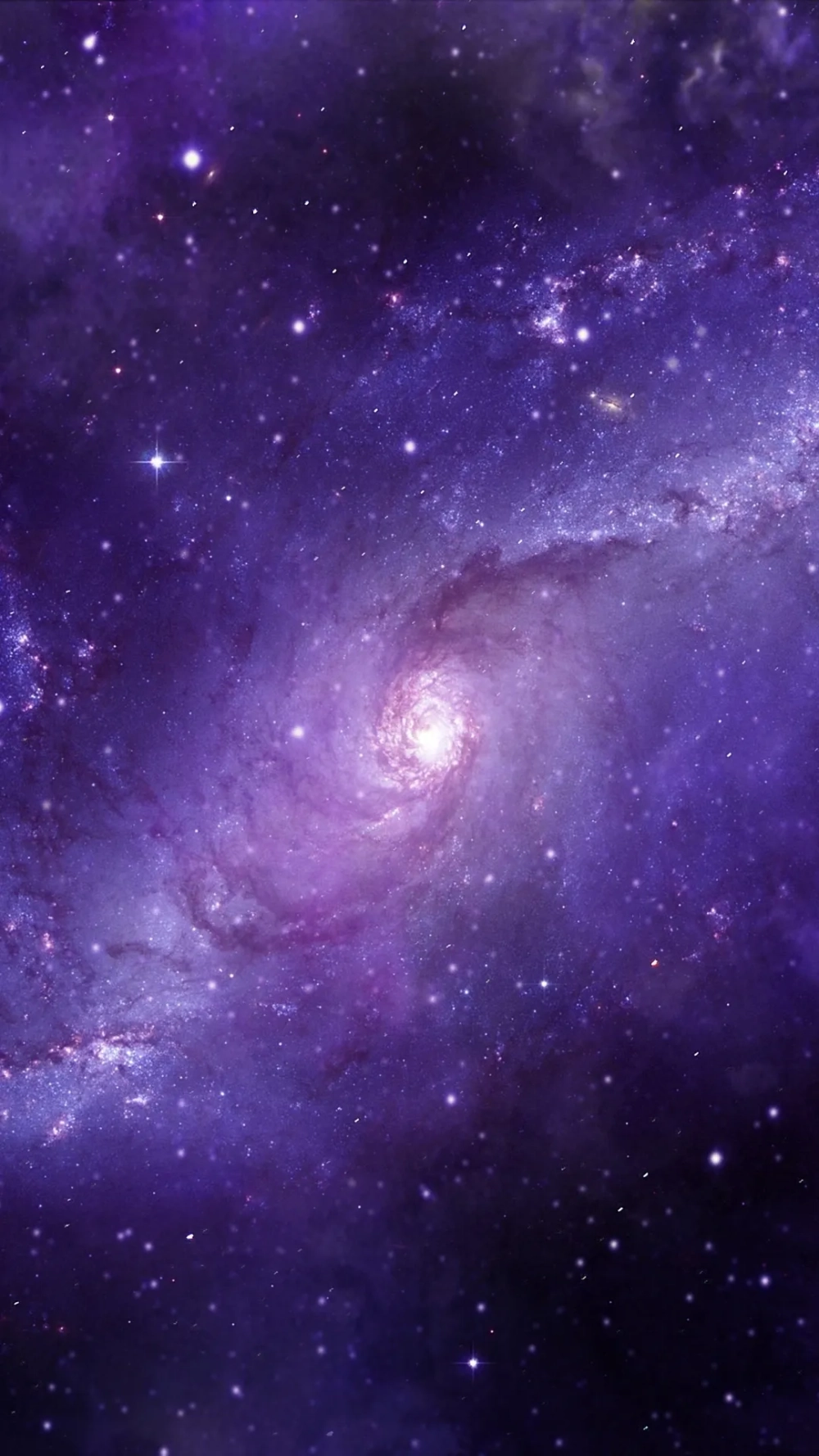 Tím không bao giờ lỗi thời trong hình nền đẹp tím