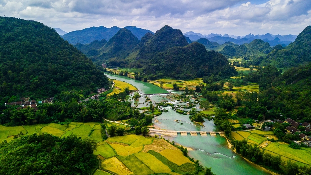Không khí cao nguyên trong hình nền phong cảnh đà lạt