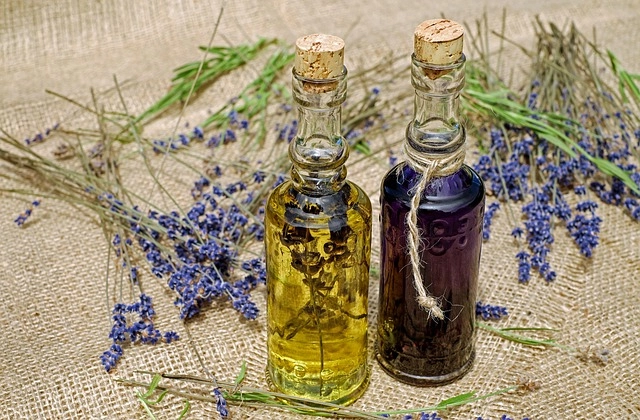 Lavender ý nghĩa là mong manh nhưng đầy sức sống