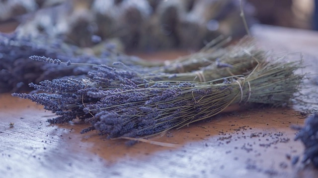 Hình ảnh hoa lavender mang nét dịu dàng rất riêng