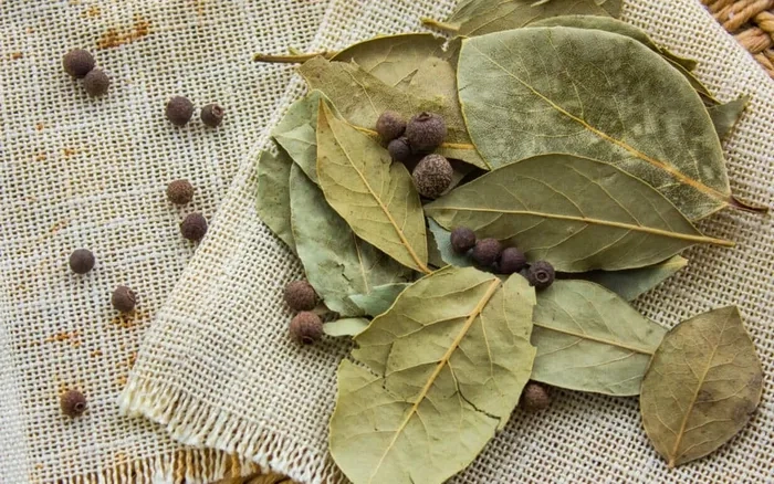 Hình nền hoa nguyệt quế thu hút vượng khí tốt