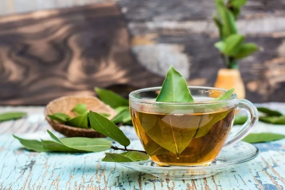 Hoa nguyệt quế leo thường được trồng giàn cổng đẹp