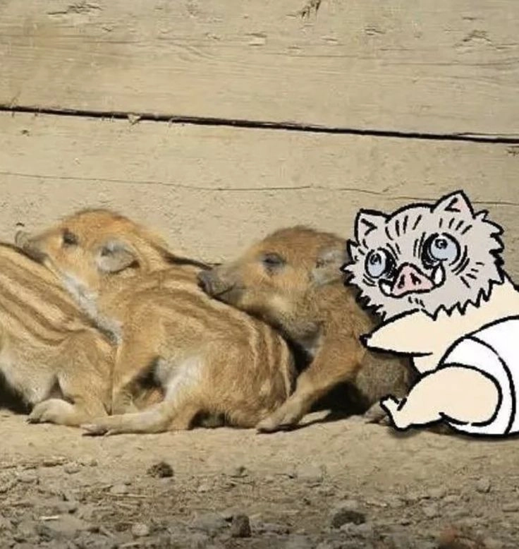 Hình Inosuke ngầu khiến fan phải xuýt xoa vì chất