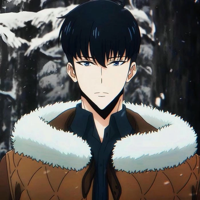 Sung Jin Woo shadow là sức mạnh không thể đo lường