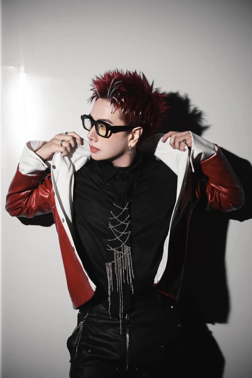 Bộ sưu tập hot nhất ảnh ca sĩ Lou Hoàng