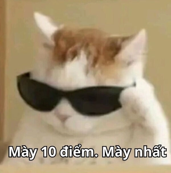 Gif meme 10 điểm khiến fan bật cười