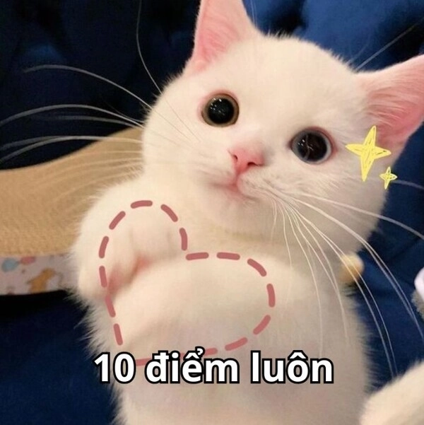 Meme 10 là điểm sáng của mạng xã hội