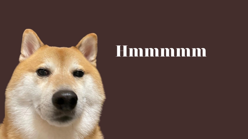 Meme con chó nghèo khổ nhưng cốt cách không nghèo