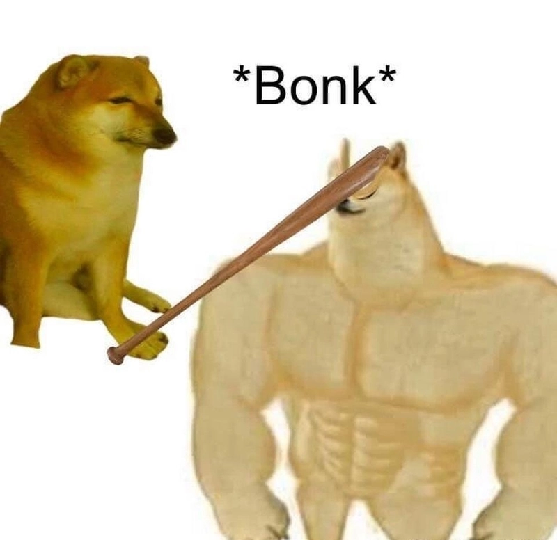 Meme con chó nhìn trời tự hỏi đời mình sai ở đâu