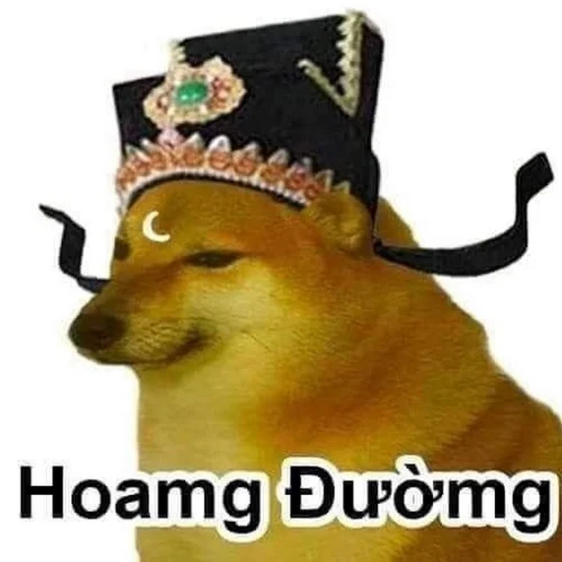 Chó meme ngáo tấu hài level thượng thừa