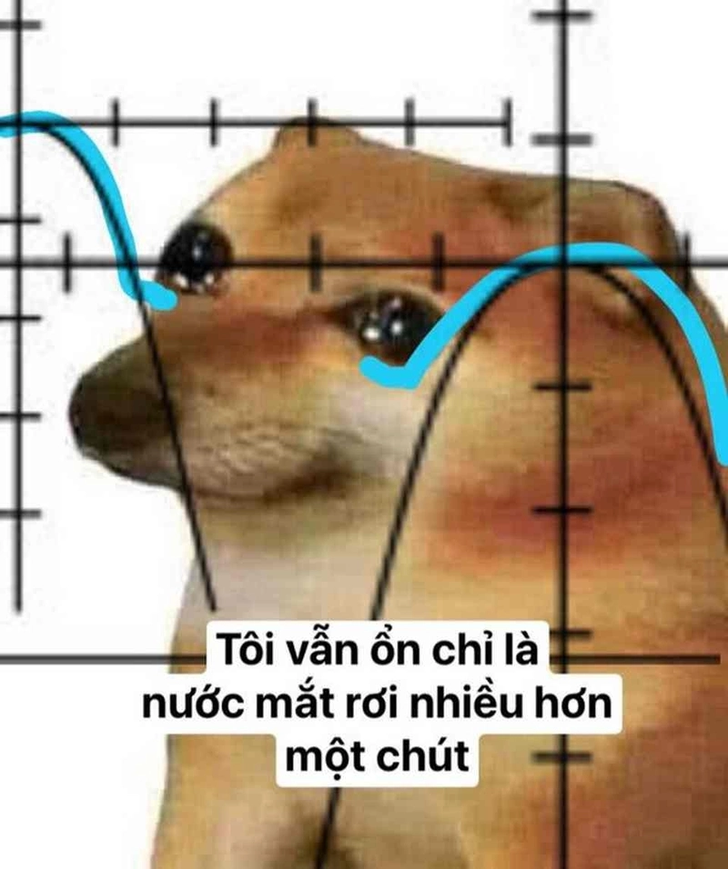 Avatar meme chó đang làm loạn mọi khung chat