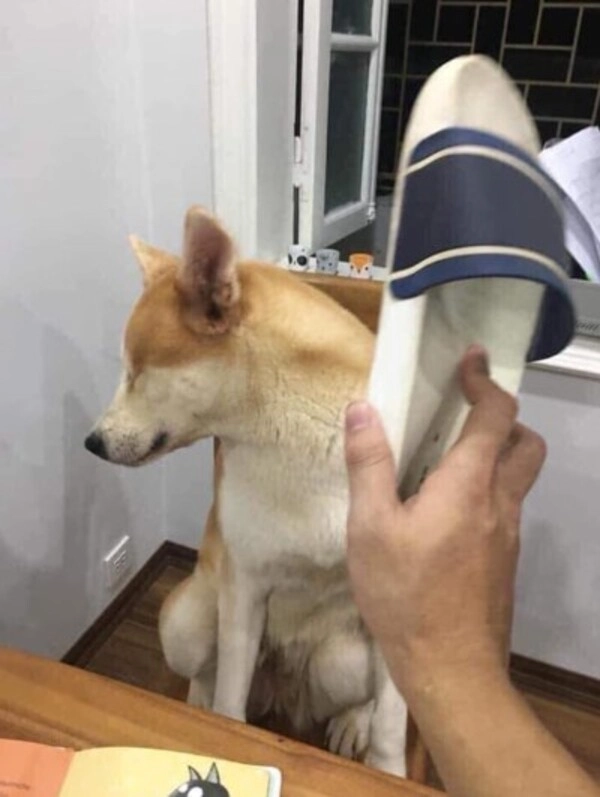 Meme đấm vô mặt được dùng khi quá bực mình