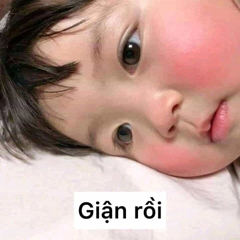Meme cười dễ thương là liều thuốc tinh thần không cần kê đơn