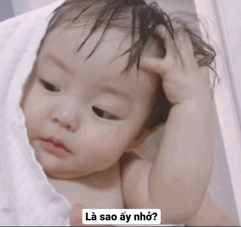 Hình meme dễ thương biểu cảm ngơ ngác khiến lòng dịu lại