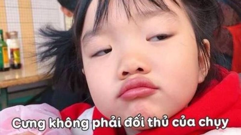 Meme cute hài vừa dễ thương vừa khiến người ta bật cười