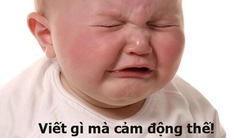 Avatar meme cute lựa chọn hoàn hảo cho hội yêu sự đáng yêu