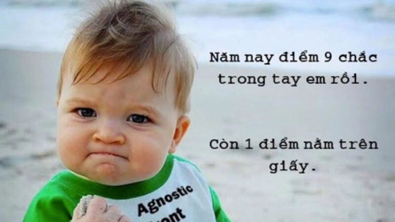 Icon ảnh meme cute phù hợp cho mọi cuộc trò chuyện online