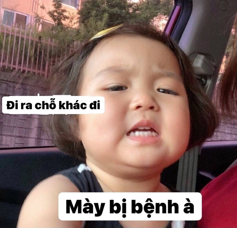 Meme mochi cute tròn vo dễ thương và luôn biết cách chiều lòng