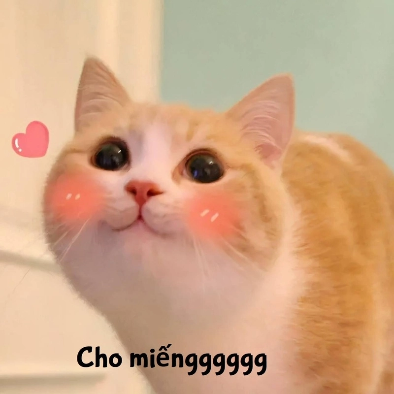 Meme cute love thể hiện tình cảm siêu đáng yêu và chân thành