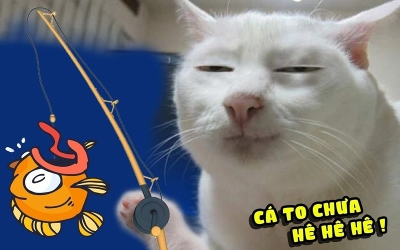 Hello meme cute lời chào ngọt ngào mở đầu mọi cuộc hội thoại