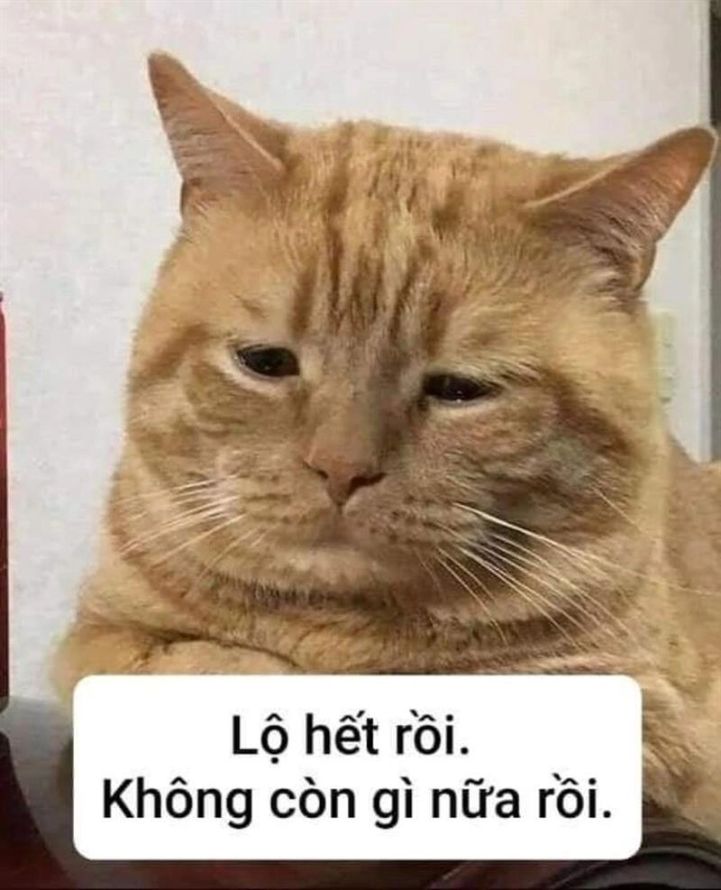 Emoji meme cute lựa chọn hoàn hảo khi không biết nói gì hơn
